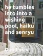 He Tumbles Into Into A Wishing Pool, Hai - Preview