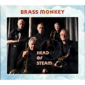 Capa do artigo Head of steam - CD