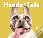 Capa do artigo Heads & Tails