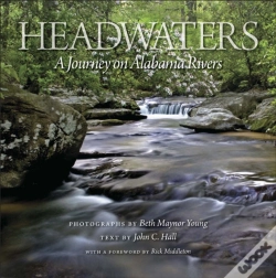 Capa do artigo Headwaters
