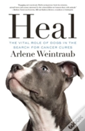 Capa do artigo Heal