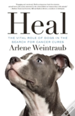 Capa do artigo Heal