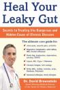 Heal Your Leaky Gut - Preview