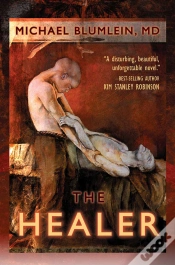 Capa do artigo Healer