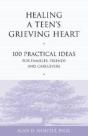 Healing A Teen'S Grieving Heart - Preview