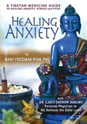 Capa do artigo Healing Anxiety