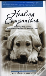 Capa do artigo Healing Companions