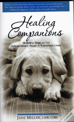 Capa do artigo Healing Companions