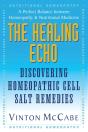 Healing Echo - Preview
