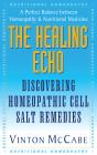 Healing Echo - Preview