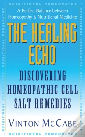Capa do artigo Healing Echo