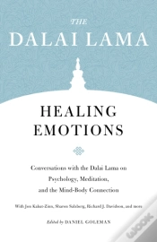 Capa do artigo Healing Emotions