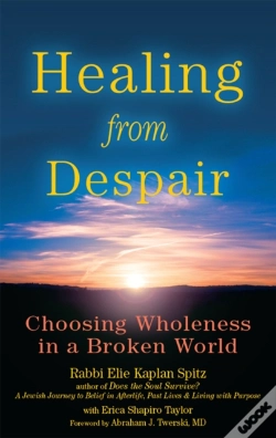 Capa do artigo Healing From Despair