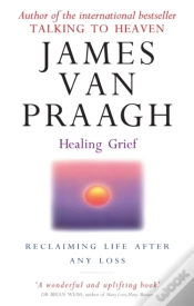 Capa do artigo Healing Grief