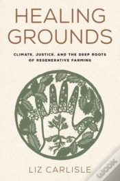 Capa do artigo Healing Grounds