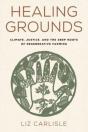 Healing Grounds - Preview