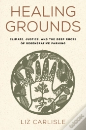 Capa do artigo Healing Grounds