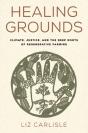 Healing Grounds - Preview