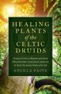 Healing Plants Of The Celtic Druids - Preview