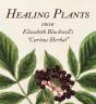 Healing Plants - Preview