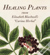 Capa do artigo Healing Plants