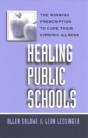 Healing Public Schools - Preview