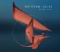 Healing Rituals - Vinil - Preview