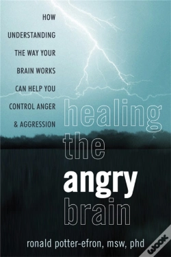 Capa do artigo Healing The Angry Brain