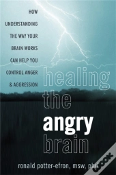 Healing The Angry Brain