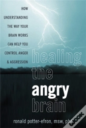 Capa do artigo Healing The Angry Brain