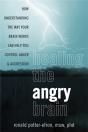 Healing The Angry Brain - Preview