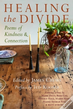 Capa do artigo Healing The Divide