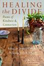 Healing The Divide - Preview