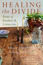Healing The Divide - Preview