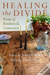 Capa do artigo Healing The Divide