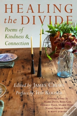 Capa do artigo Healing The Divide