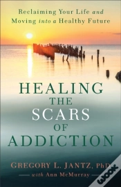 Capa do artigo Healing The Scars Of Addiction
