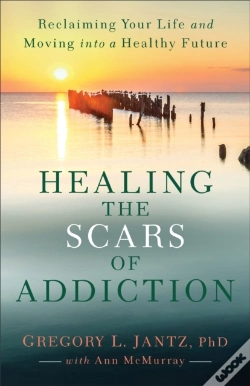 Capa do artigo Healing The Scars Of Addiction
