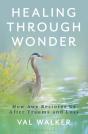 Healing Through Wonder - Preview