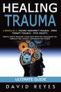 Healing Trauma - Preview