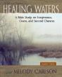 Healing Waters - Women'S Bible Study Leader Guide - Preview