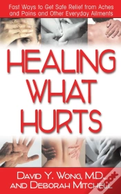 Capa do artigo Healing What Hurts