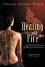 Healing With Fire - Preview