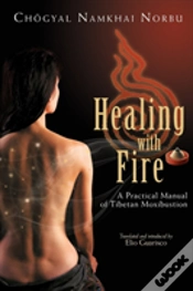 Capa do artigo Healing With Fire