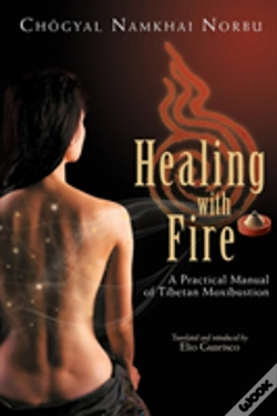 Capa do artigo Healing With Fire
