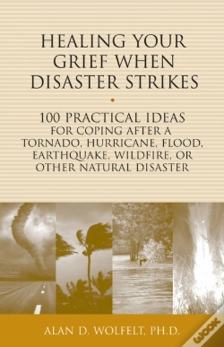 Capa do artigo Healing Your Grief When Disaster Strikes