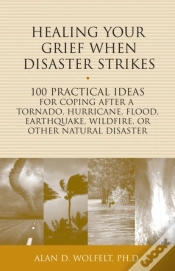 Capa do artigo Healing Your Grief When Disaster Strikes