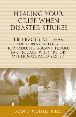 Capa do artigo Healing Your Grief When Disaster Strikes