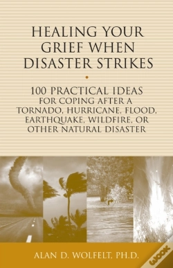 Capa do artigo Healing Your Grief When Disaster Strikes