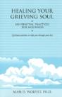 Healing Your Grieving Soul - Preview